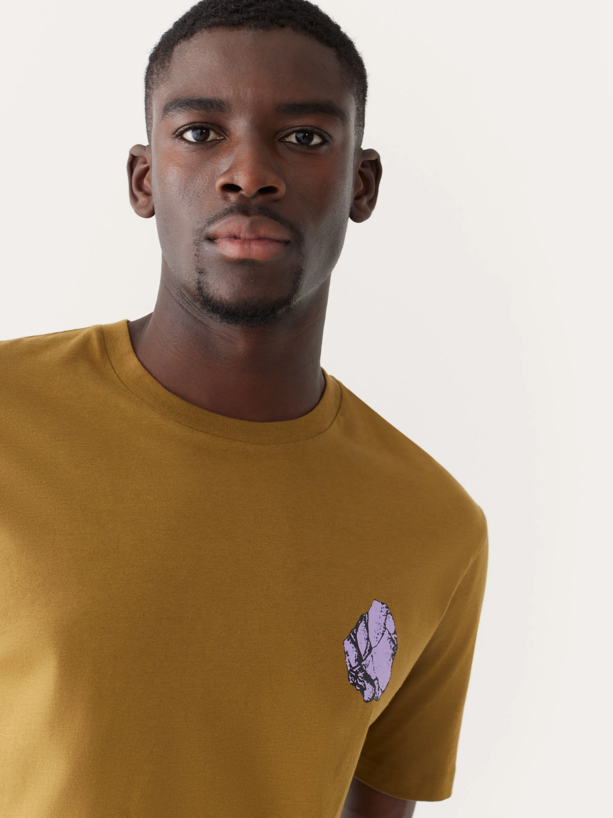 The Relaxed Fit Graphic T-shirt in Butternut