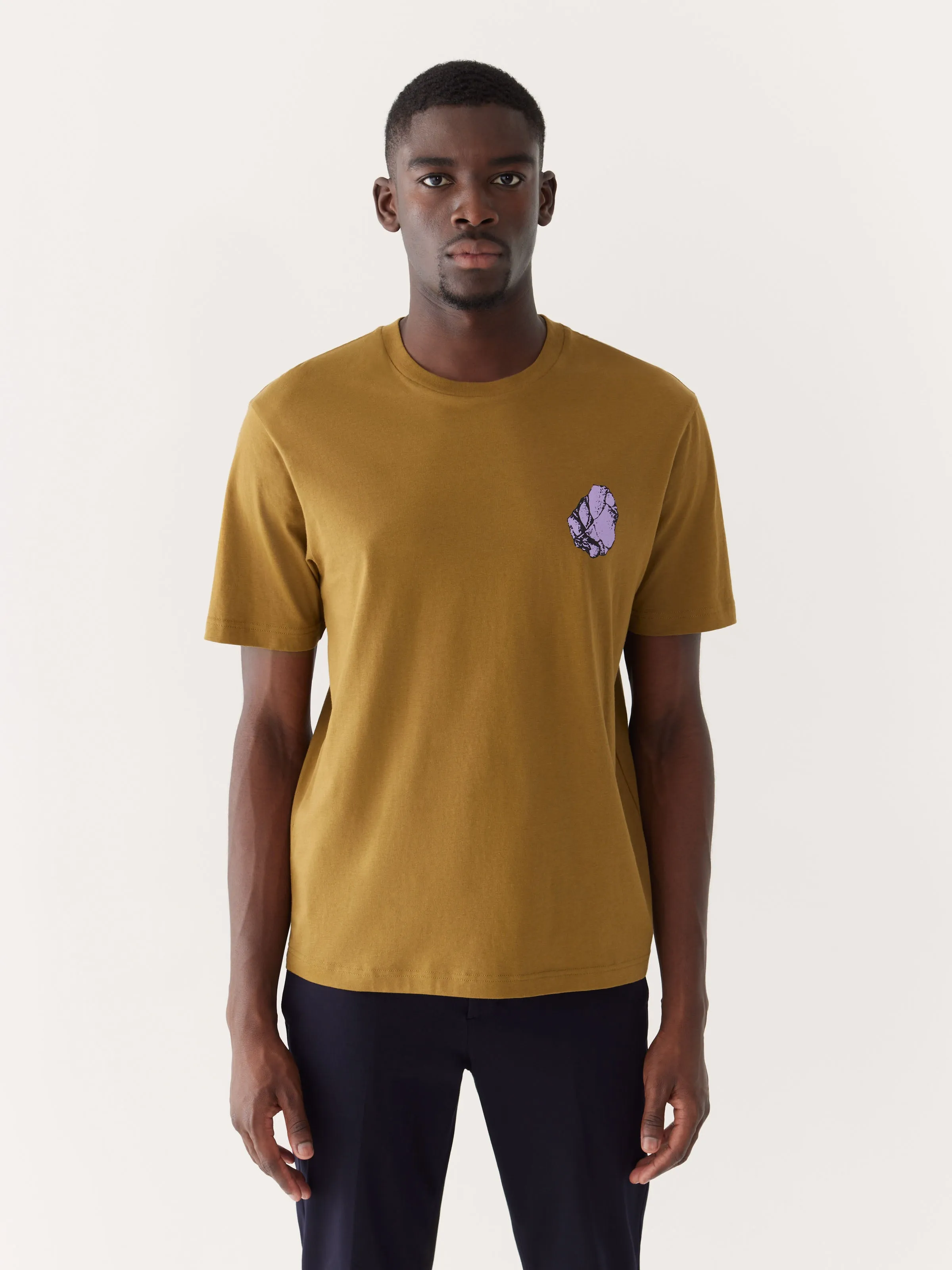 The Relaxed Fit Graphic T-shirt in Butternut